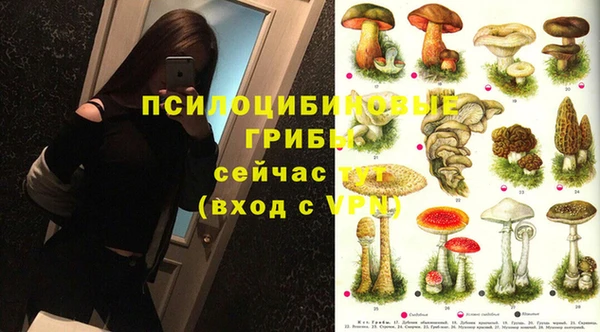 Альфа ПВП Липки