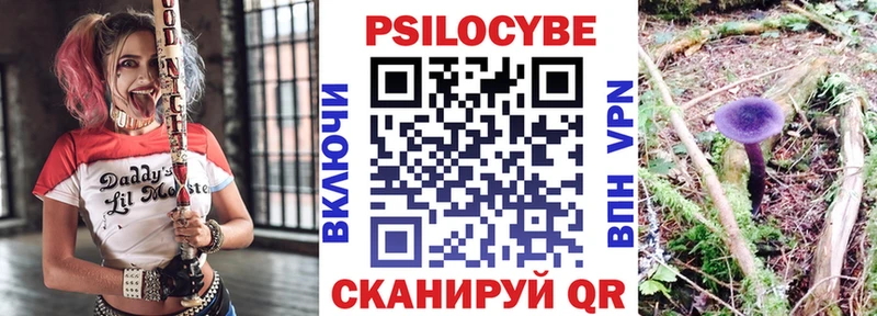 Псилоцибиновые грибы GOLDEN TEACHER  цена   Данилов 